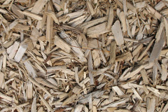 biomass boilers Cleatlam